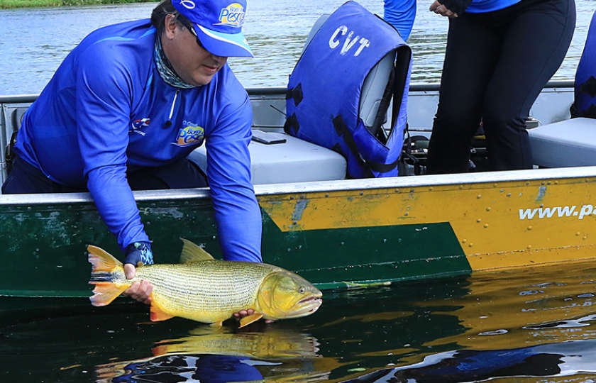 Governo fecha decreto e libera um peixe nobre e cinco piranhas dos rios de MS