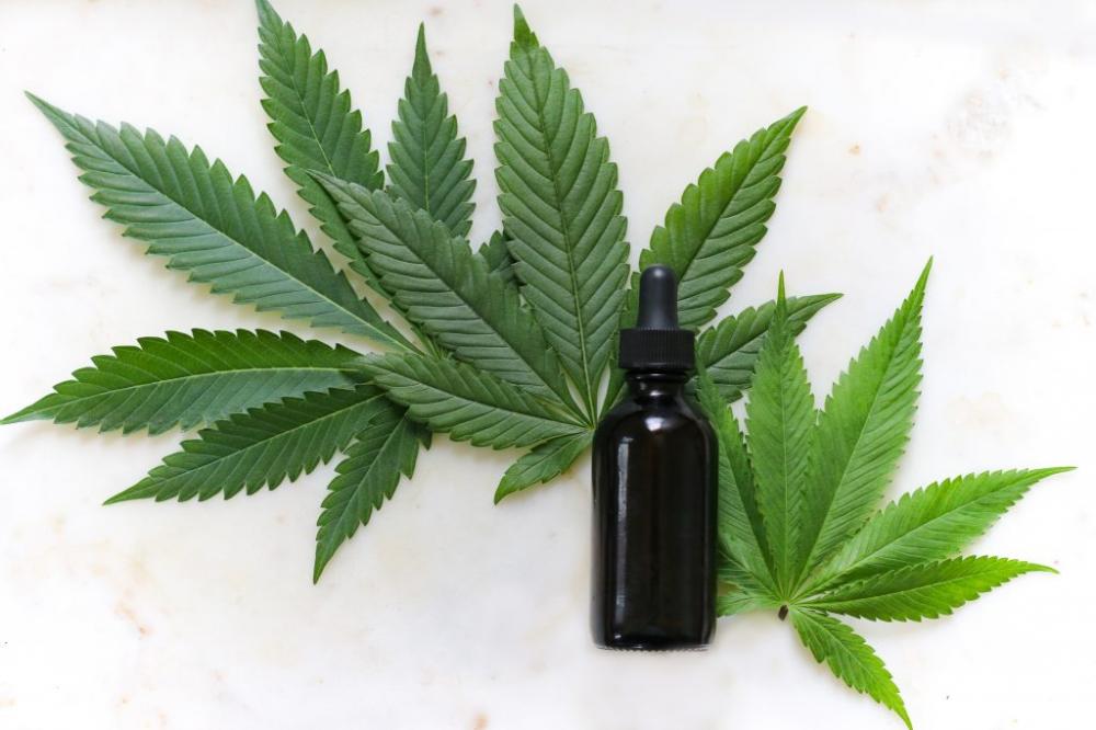 Fabricação e venda de produtos derivados da cannabis entram em vigor