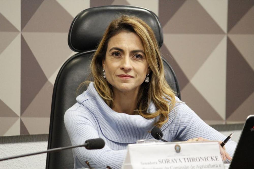 Senadora apresenta PEC que adia eleições até que acabe estado de calamidade