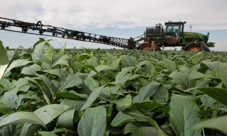 Agronegócio registra perdas e descartes de produtos devido ao coronavírus