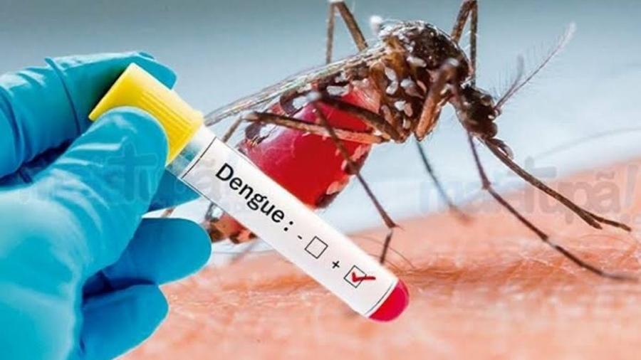 Saúde confirma mais duas e número de mortes por dengue sobe para 21 em MS