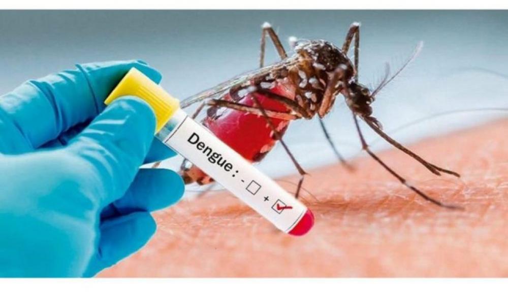 Com 2ª maior incidência de casos do Brasil, Saúde de MS confirma 22ª morte por dengue