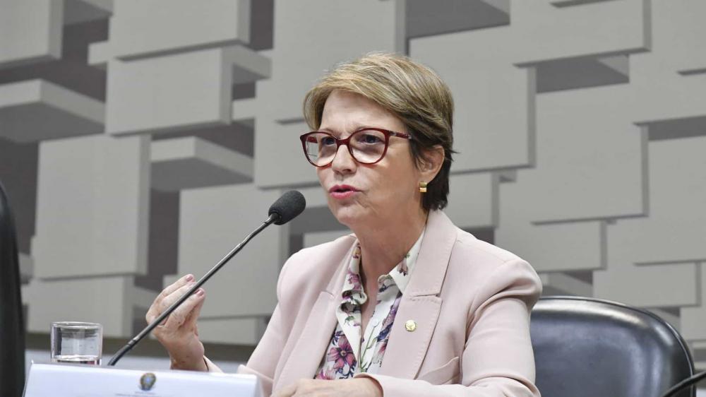 Ministra da Agricultura cobra apoio de Bolsonaro