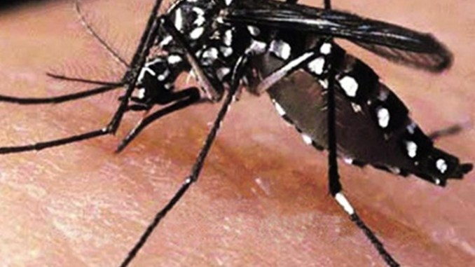 Criança de 10 anos morre com suspeita de dengue hemorrágica em Dourados