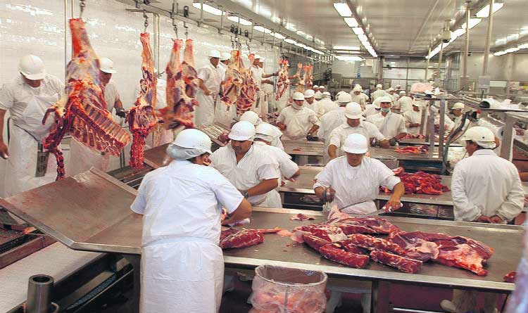 Riscos de coronavírus colocam frigoríficos na rota de fiscalização