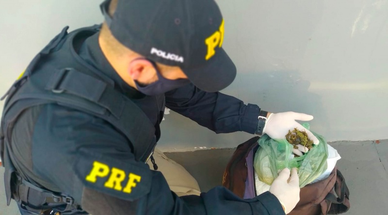 Mulher é presa pela PRF transportando flores da maconha em Bandeirantes