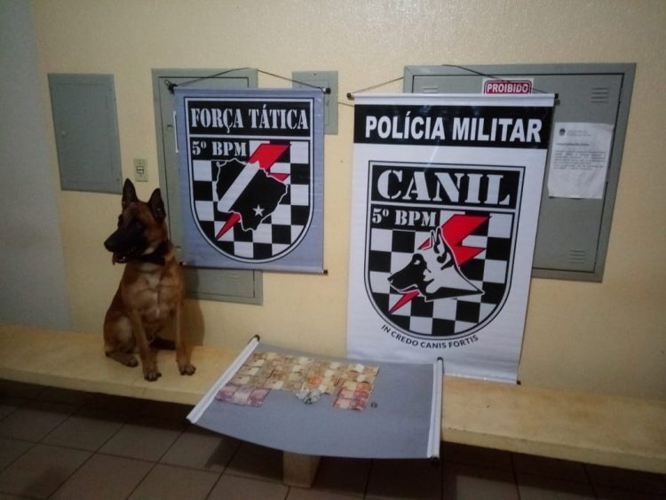 Com ajuda de cão farejador, polícia encontra drogas e prende dois por tráfico de drogas em Coxim