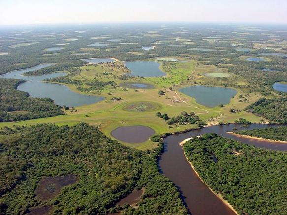 Sancionada lei de autoria de Renato Câmara que define 12 de novembro como Dia do Pantanal