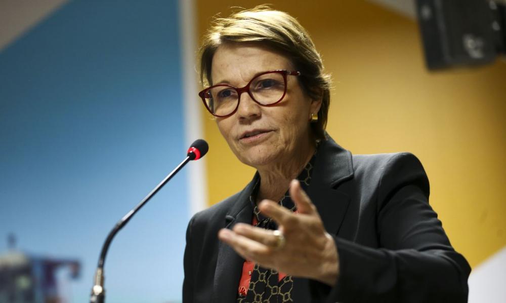 Plano Safra 2020/21 será anunciado no dia 17, diz Tereza Cristina