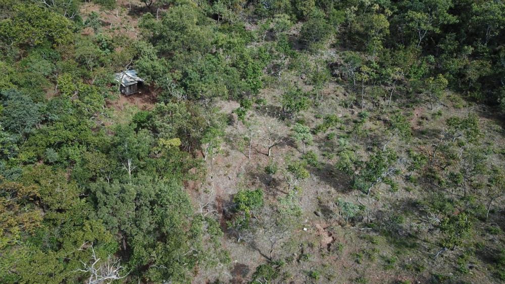 PMA de Coxim autua invasor por construir depósito e explorar área de Unidade de Conservação em Alcinópolis