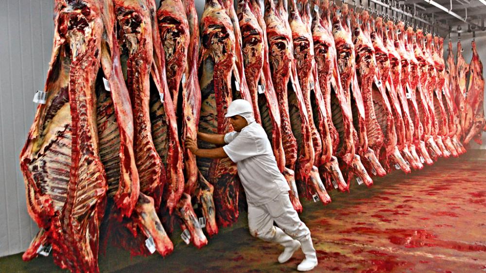 Exportações de carne podem fechar 2019 com resultado recorde