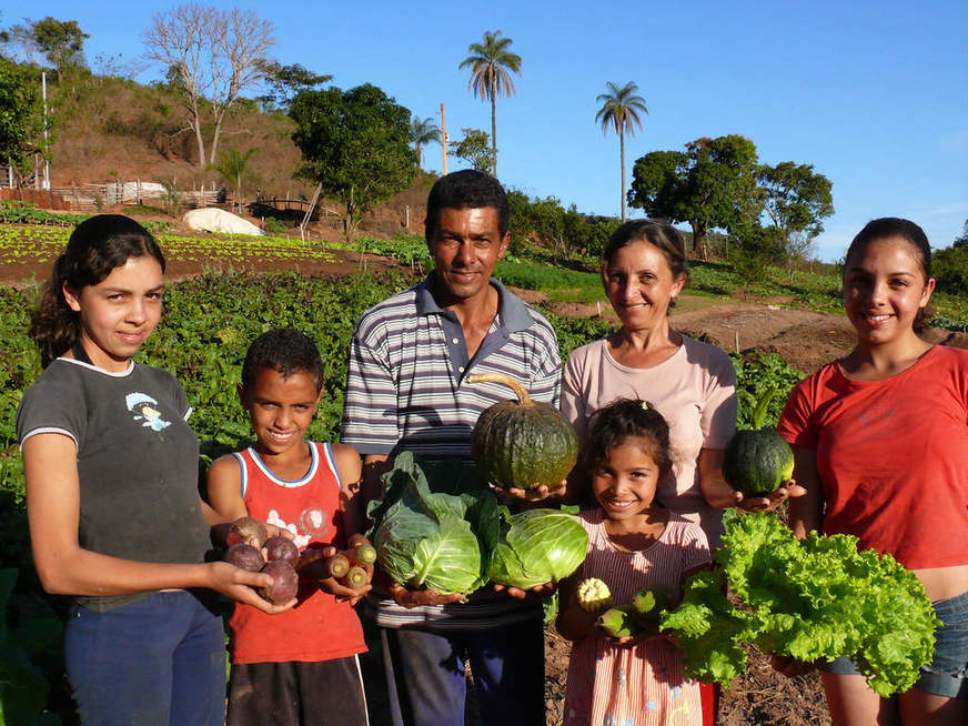 Governo MS garante R$ 188 milhões na Agricultura Familiar