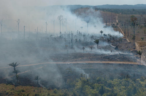 Pantanal de MS registra maior quantidade de focos de queimadas desde 1998