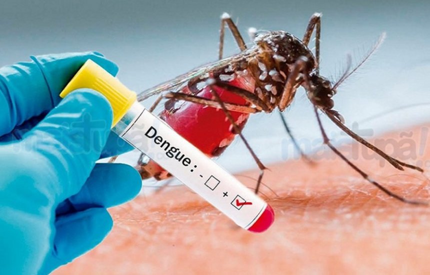 MS tem 66.714 notificações e 39 vítimas fatais por dengue