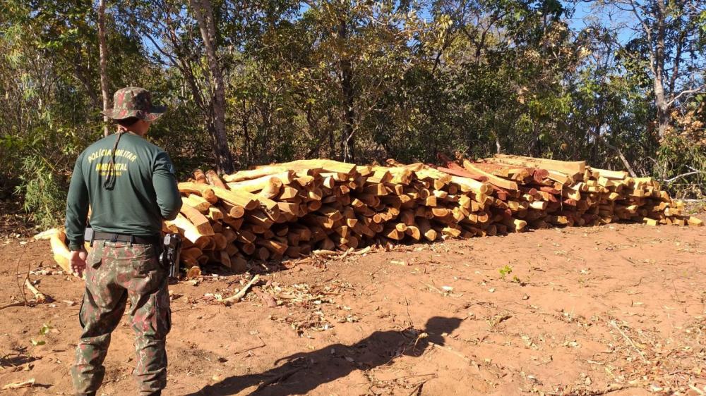PMA de Coxim autua infrator em R$ 38 mil por desmatamento ilegal em área protegida e exploração ilegal de 16 m³ de madeira