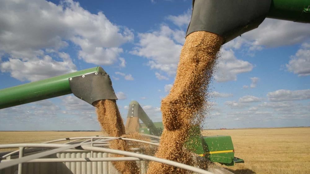 Produção de soja terá recorde de 120,1 milhões de t em 2020, diz IBGE