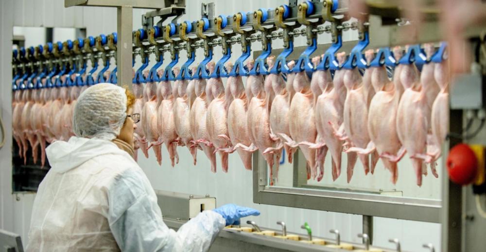 Filipinas suspendem compra de frango do Brasil por medo de coronavírus