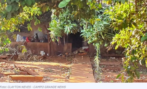 Idosa morre, cai na varanda e cachorros se alimentam do seu corpo na Capital