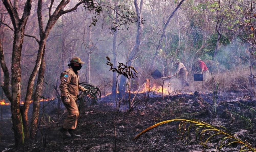 Ministério bloqueia verba para combate às queimadas no Pantanal