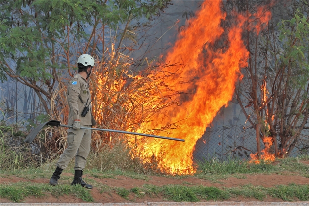 Tempo seco coloca 79 município de MS em alerta para incêndios florestais