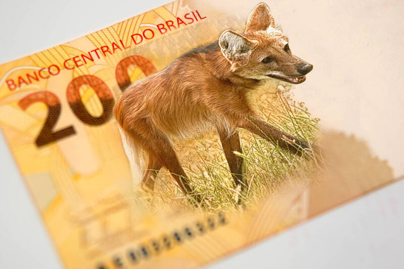 Nova nota de R$ 200 entra em circulação na quarta-feira