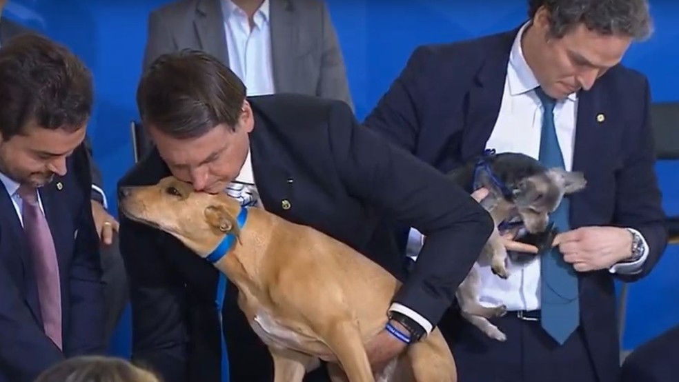 Bolsonaro sanciona lei com pena maior, de até 5 anos, para maus-tratos contra cães ou gatos