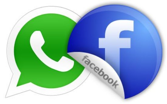 TSE faz parceira com WhatsApp e Facebook para combater desinformação em eleições