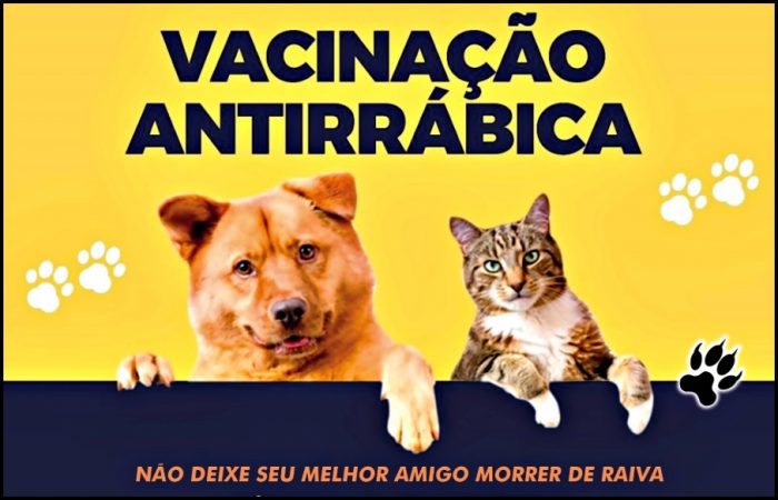 Saúde de Pedro Gomes promove vacinação antirrábica neste sábado (03)