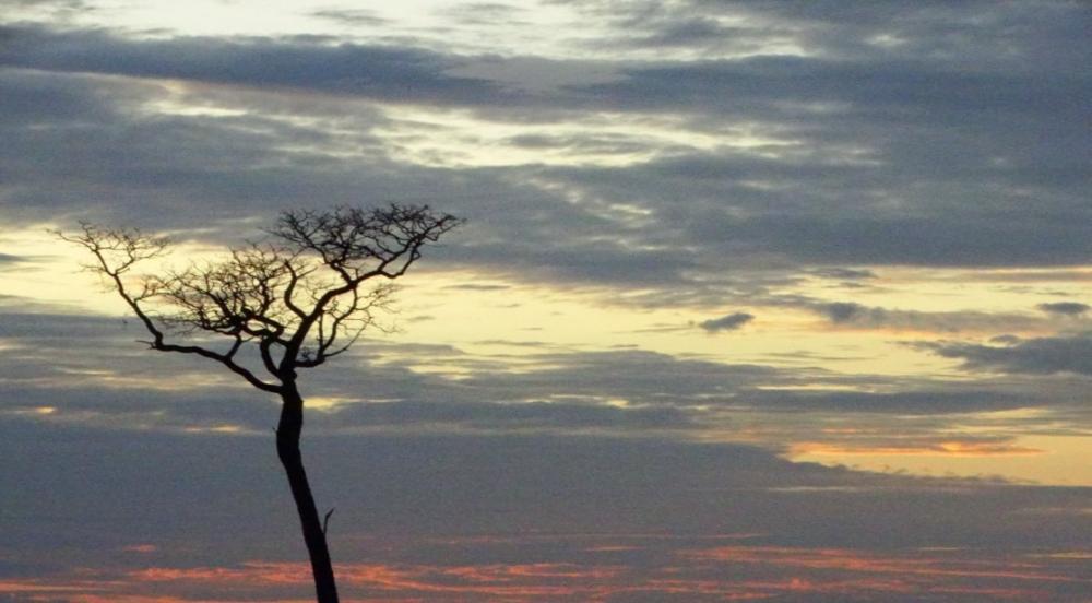 Feriado da Padroeira do Brasil terá tempo firme e umidade do ar em elevação