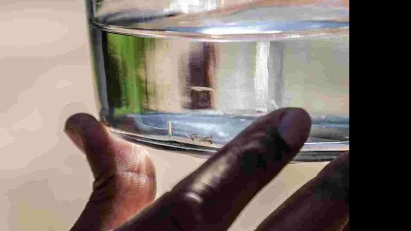 Com quase 250 confirmações em uma semana, MS passa dos 5 mil casos de dengue