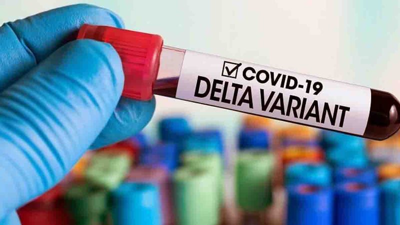 MS deve ter queda de casos de covid em julho se conseguir blindar variante indiana