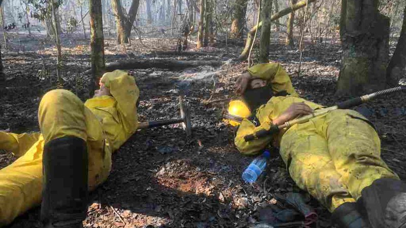 Incêndios já devastaram mais de 70% de parques na fronteira de Mato Grosso do Sul