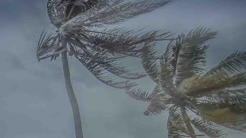 De olho no temporal: MS já registra rajadas de vento de 84 km/h com muita poeira e pouca chuva
