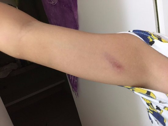 Diretora de escola é ameaçada de morte após denunciar pais por agredirem criança