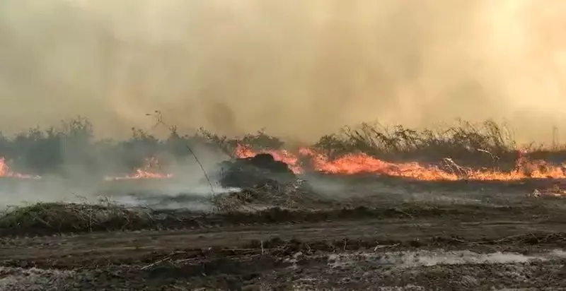 Incêndio em área mais preservada da Serra do Amolar mobiliza militares no Pantanal de MS