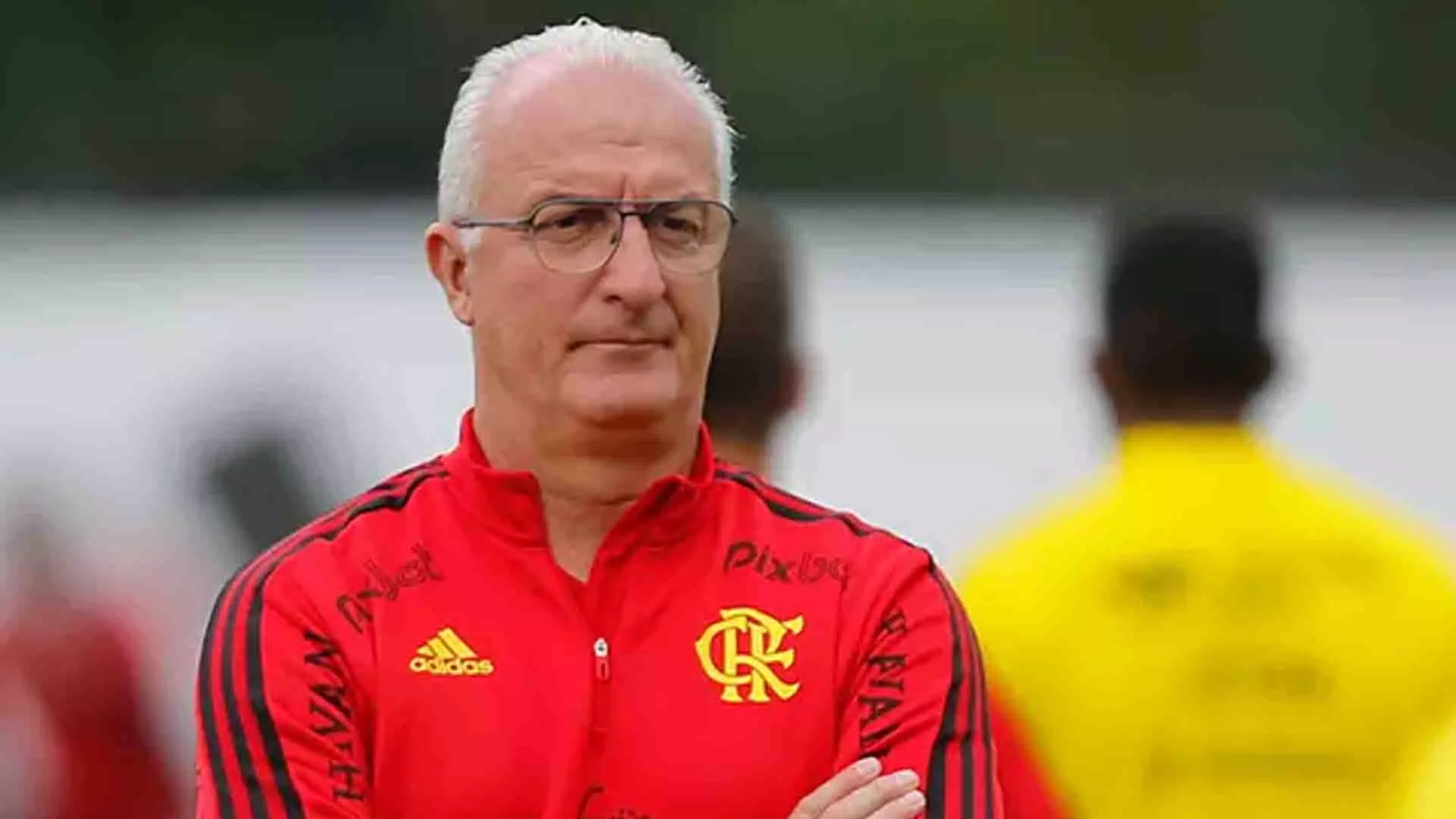 (Divulgação)