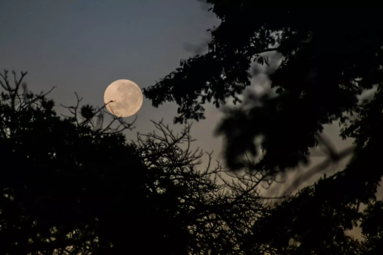 Temperaturas começam a subir lentamente e máxima pode atingir 28°C nesta sexta-feira