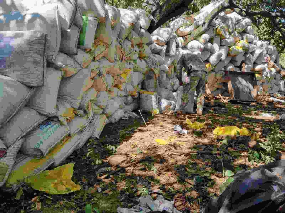 Operação em fazenda no Paraguai tira de circulação mais de 40 toneladas de maconha