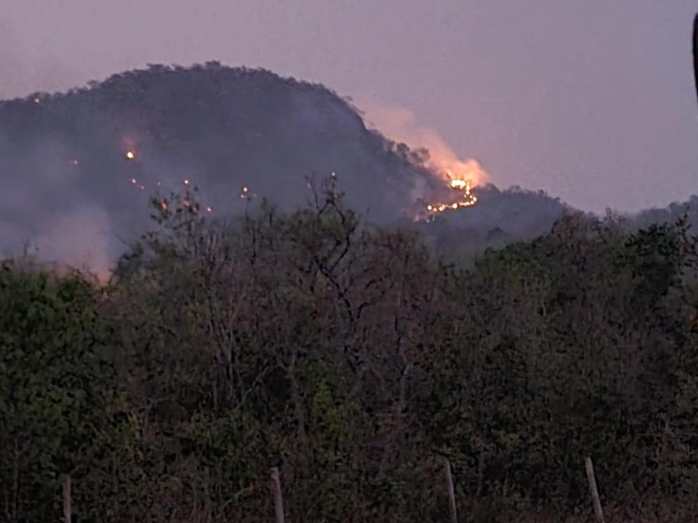 Bombeiros combatem incêndio na fazenda ESA, em Pedro Gomes MS