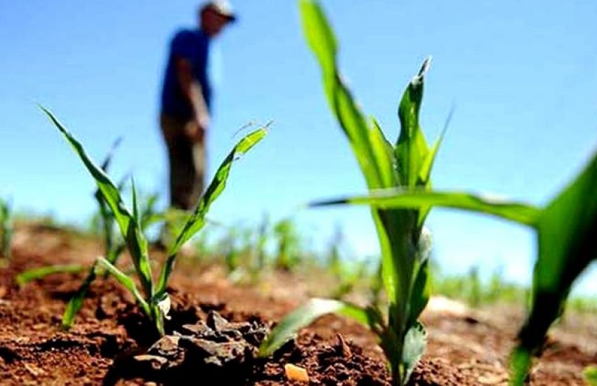 Produtores têm até segunda para aderir ao Refis Rural