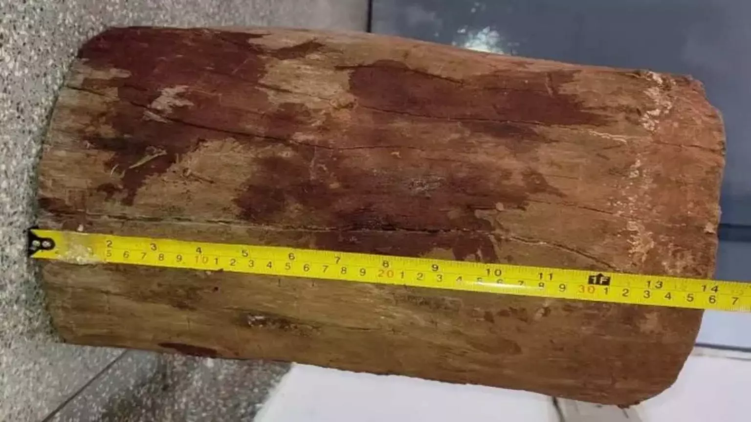 Presa por queimar carro de vizinha é acusada de matar homem usando tronco de quase 19kg