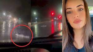 VÍDEO: Durante temporal, moradoras são surpreendidas por jacaré em Campo Grande
