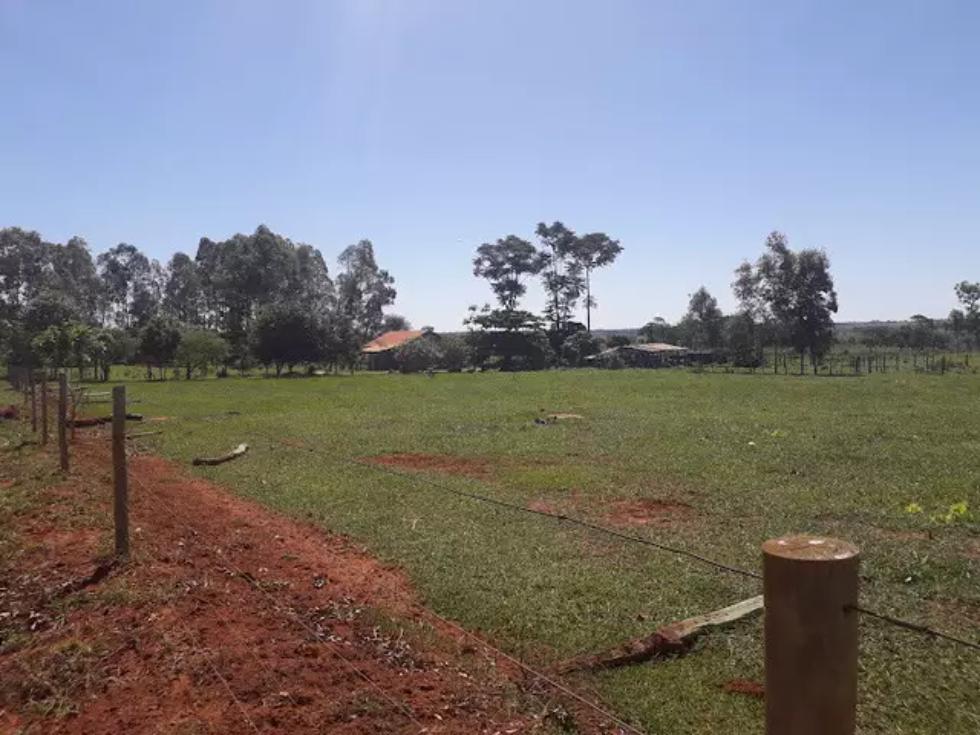 Homem é encontrado morto pela ex-esposa em sítio
