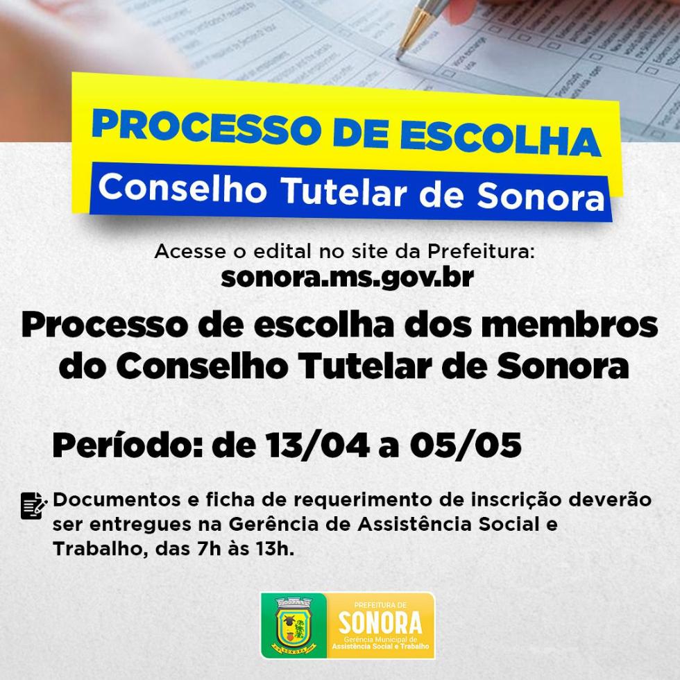 Conselho Tutelar de Sonora realiza processo de escolha de novos membros