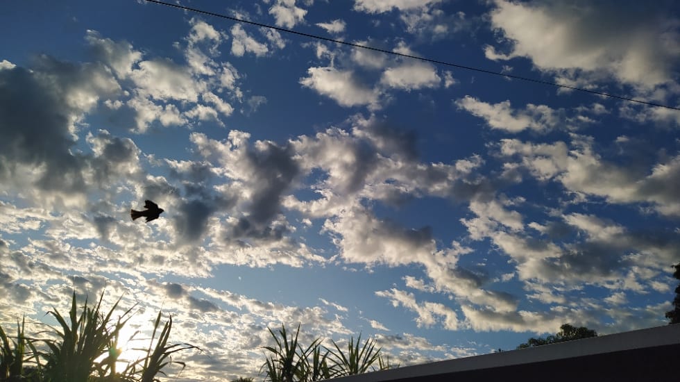 Frente fria retorna a partir da noite desta quarta-feira em Mato Grosso do Sul