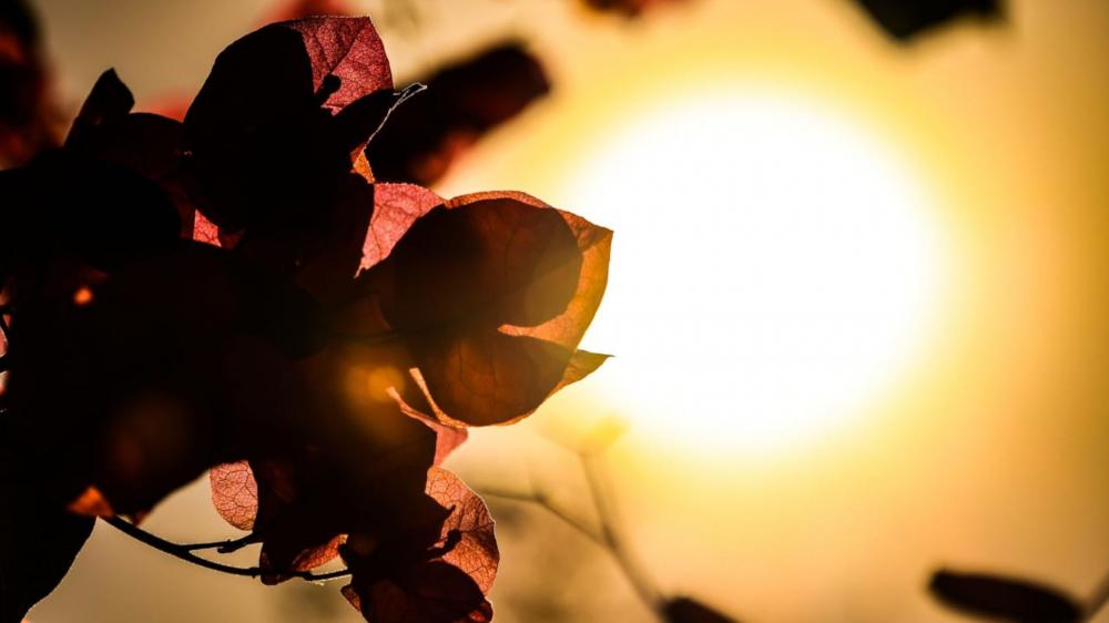 Lista: Cidades de MS chegam a 39°C e batem recorde de calor em pleno inverno