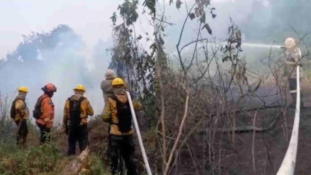 Pantanal em chamas: área queimada mais que triplica em 2023 com 691 mil hectares destruídos