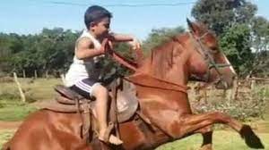 Menino de 10 anos é a quarta criança que morre após picada de escorpião em MS 