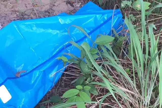 Ossada humana é encontrada com tiro na perna em Coxim