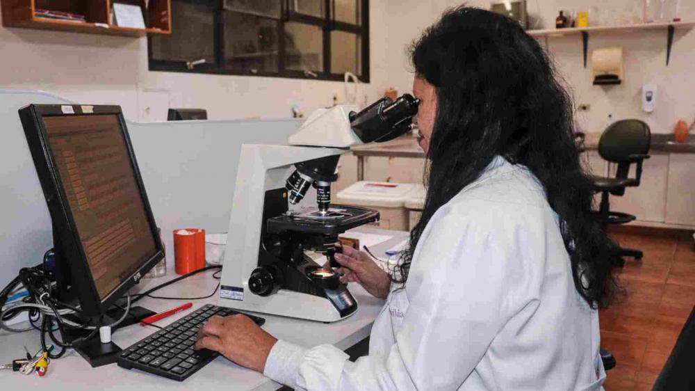 Pioneira com eficácia de 80%, vacina da dengue estudada em MS há 7 anos ganha o Brasil em fevereiro